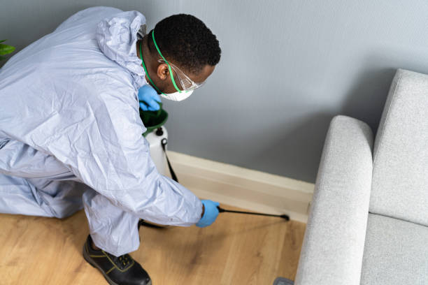 Reliable Fairmont City, IL Pest Control Solutions